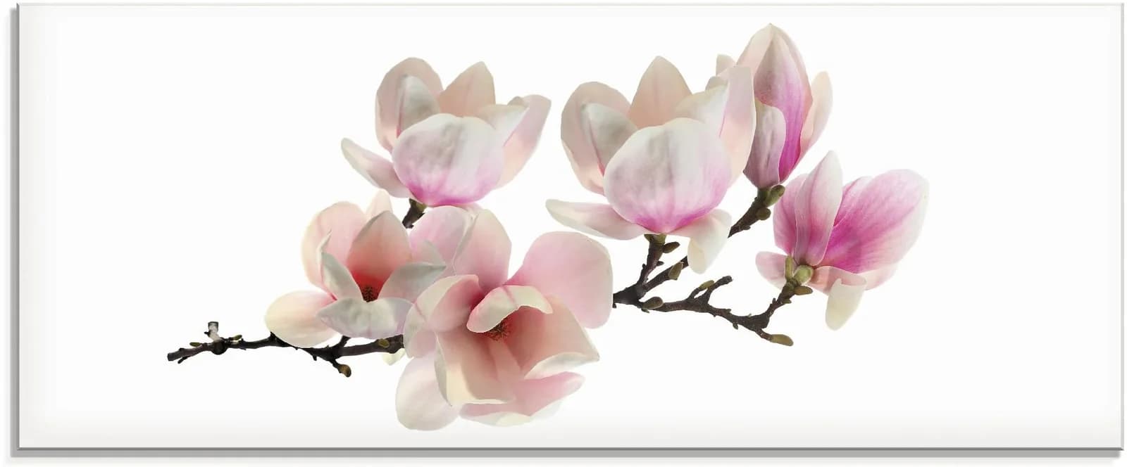 Glasbild ARTLAND Magnolie pink - 125x50cm