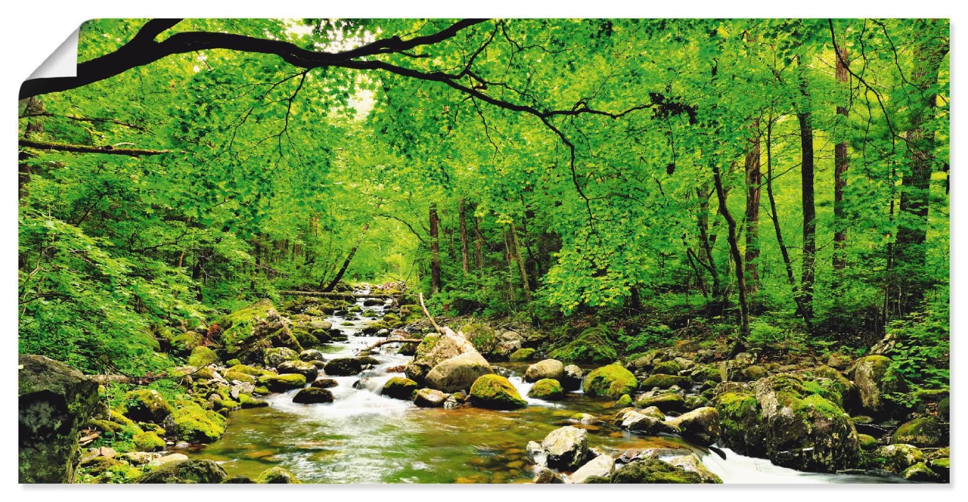 Artland Wandbild Herbstwald Fluss Smolny Grün