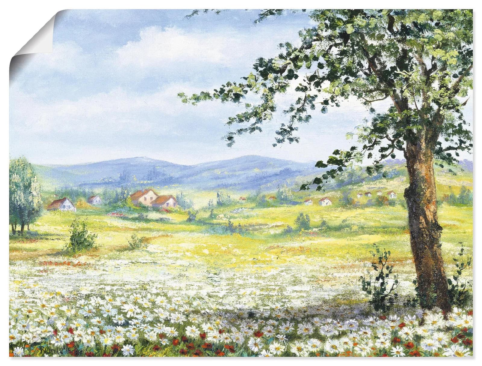 ARTLAND Poster Margeritenfeld Grün 40x30 cm