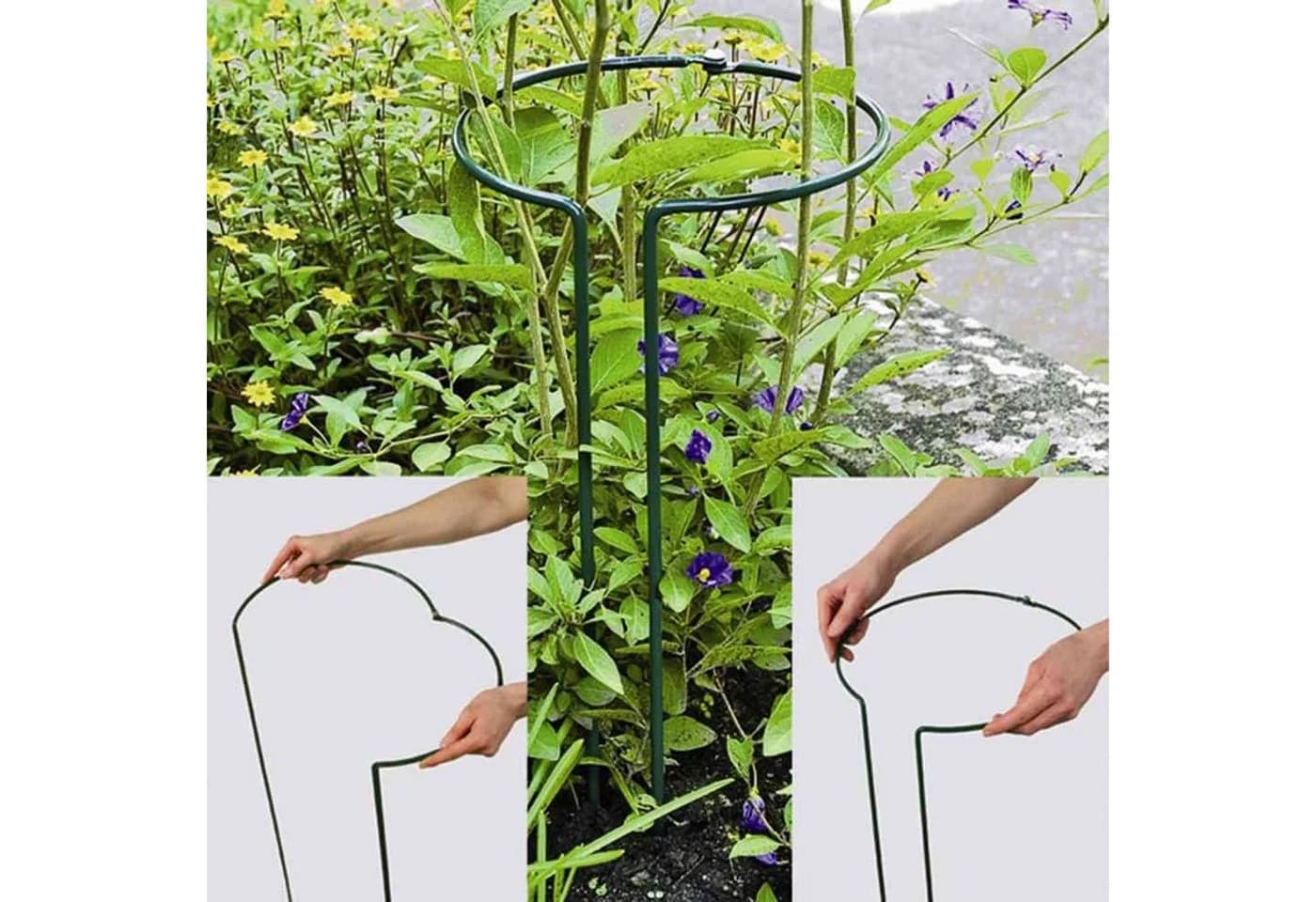 Siena Garden Rankhilfe Pflanzenstütze Grün Verstellbar