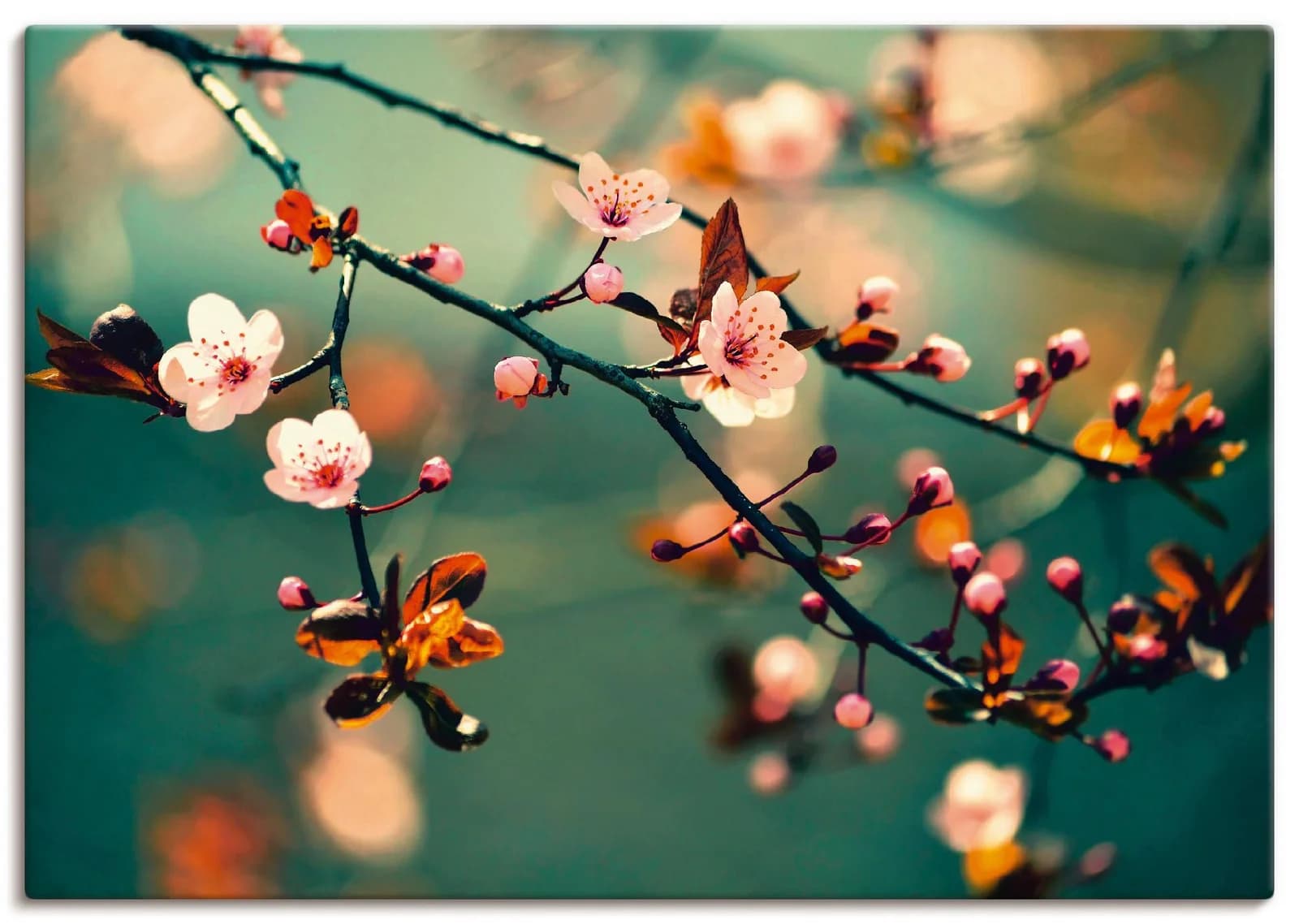 ARTLAND Leinwandbild Japanische Sakura Blumen Blau
