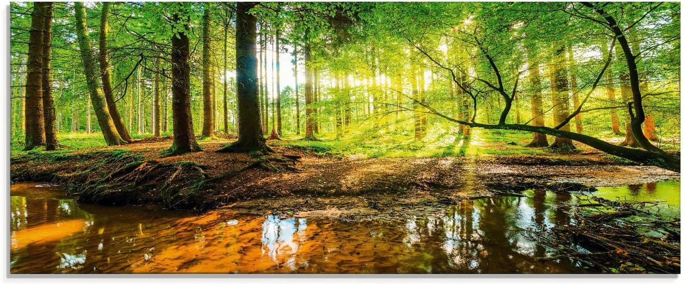 Artland Glasbild Wald mit Bach Grün