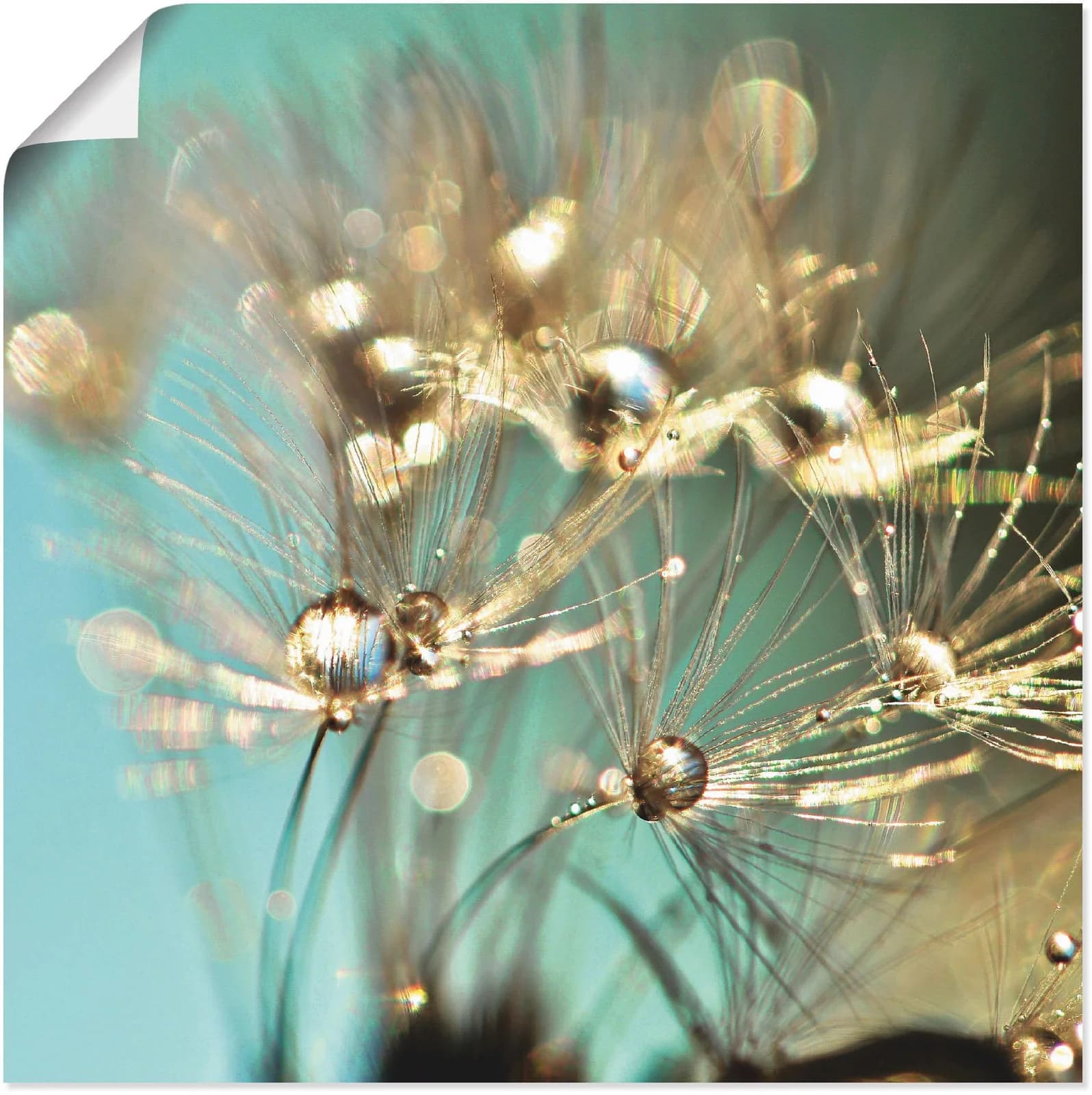 ARTLAND Poster Pusteblume glänzendes Gold Blau 40x40 cm