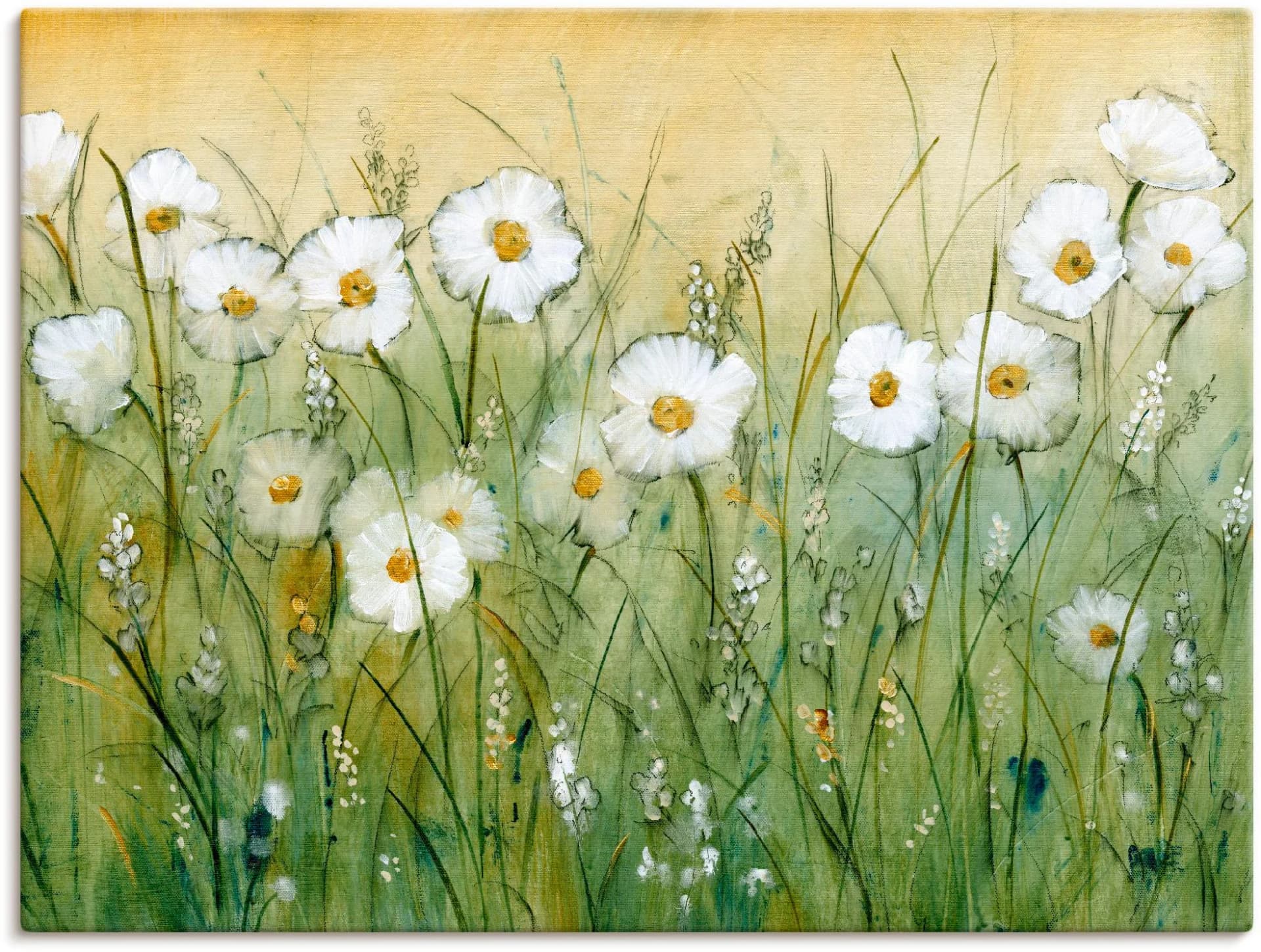 ARTLAND Wandbild Gänseblümchenfrühling II Grün Leinwandbild 120x90cm