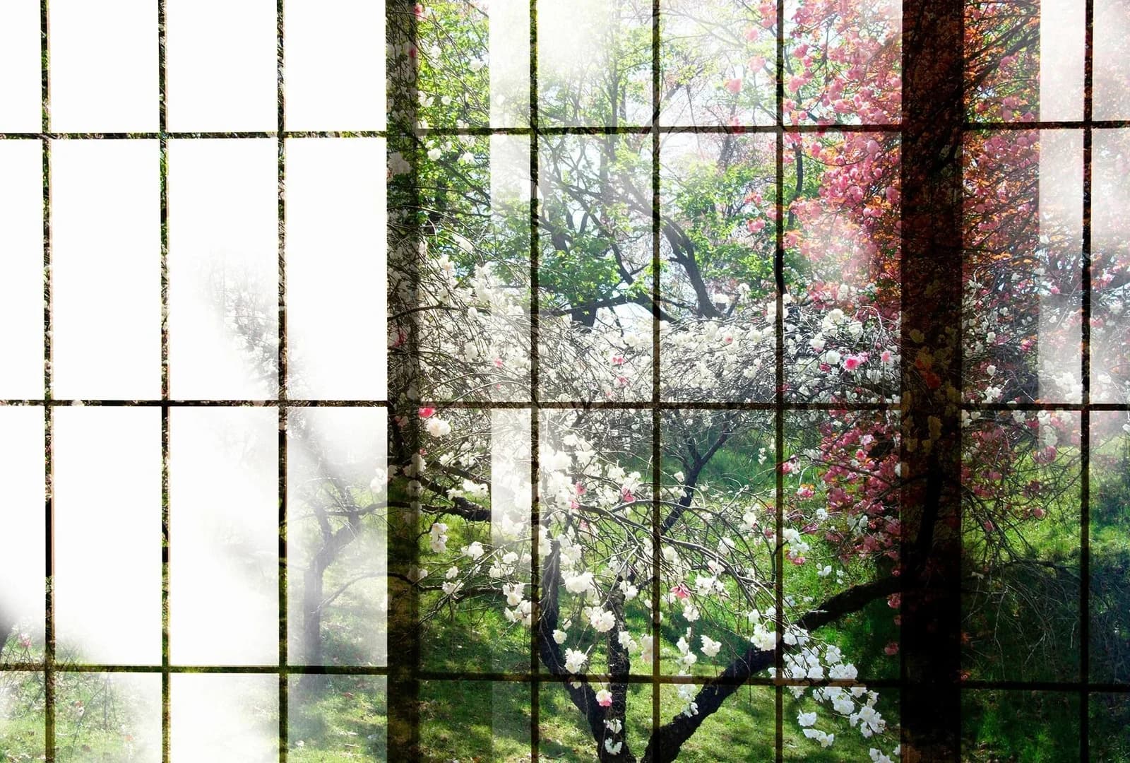 Livingwalls Fototapete Patel Orchard 2 Grün Vlies