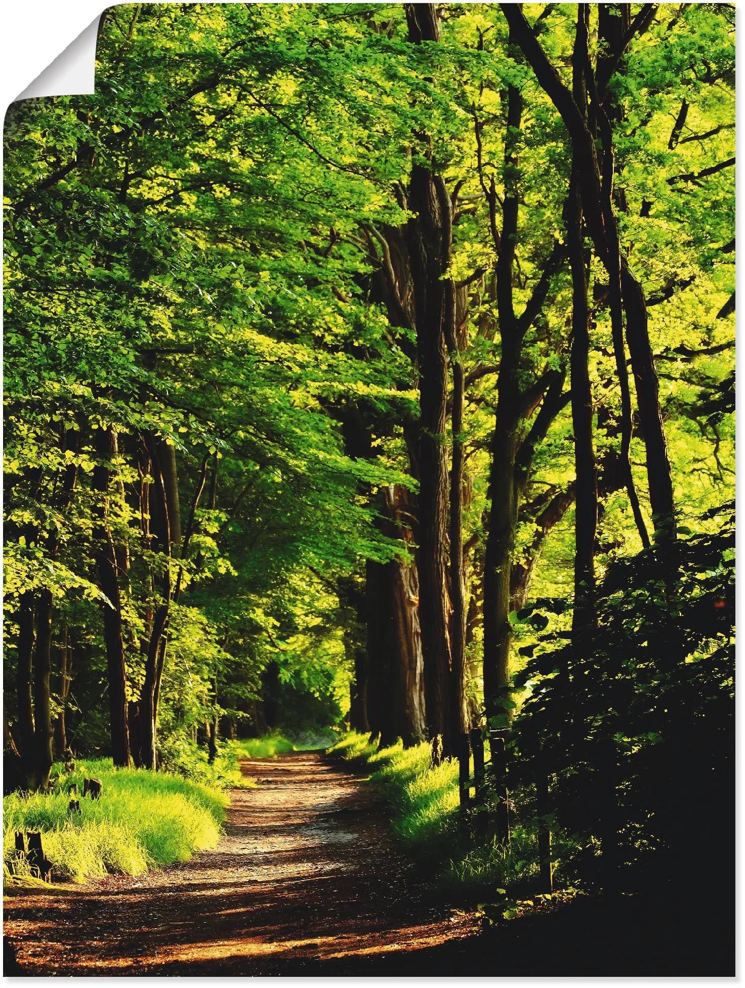 Artland Wandbild Weg im Wald Grün Leinwandbild