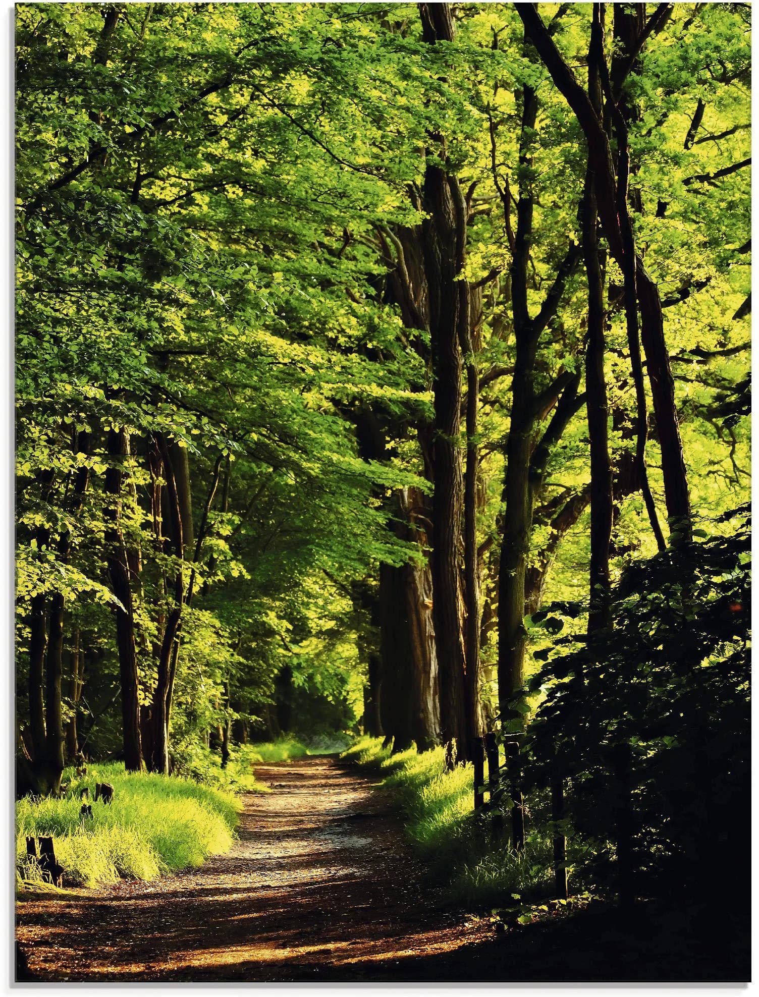 Glasbild ARTLAND Weg im Wald Grün