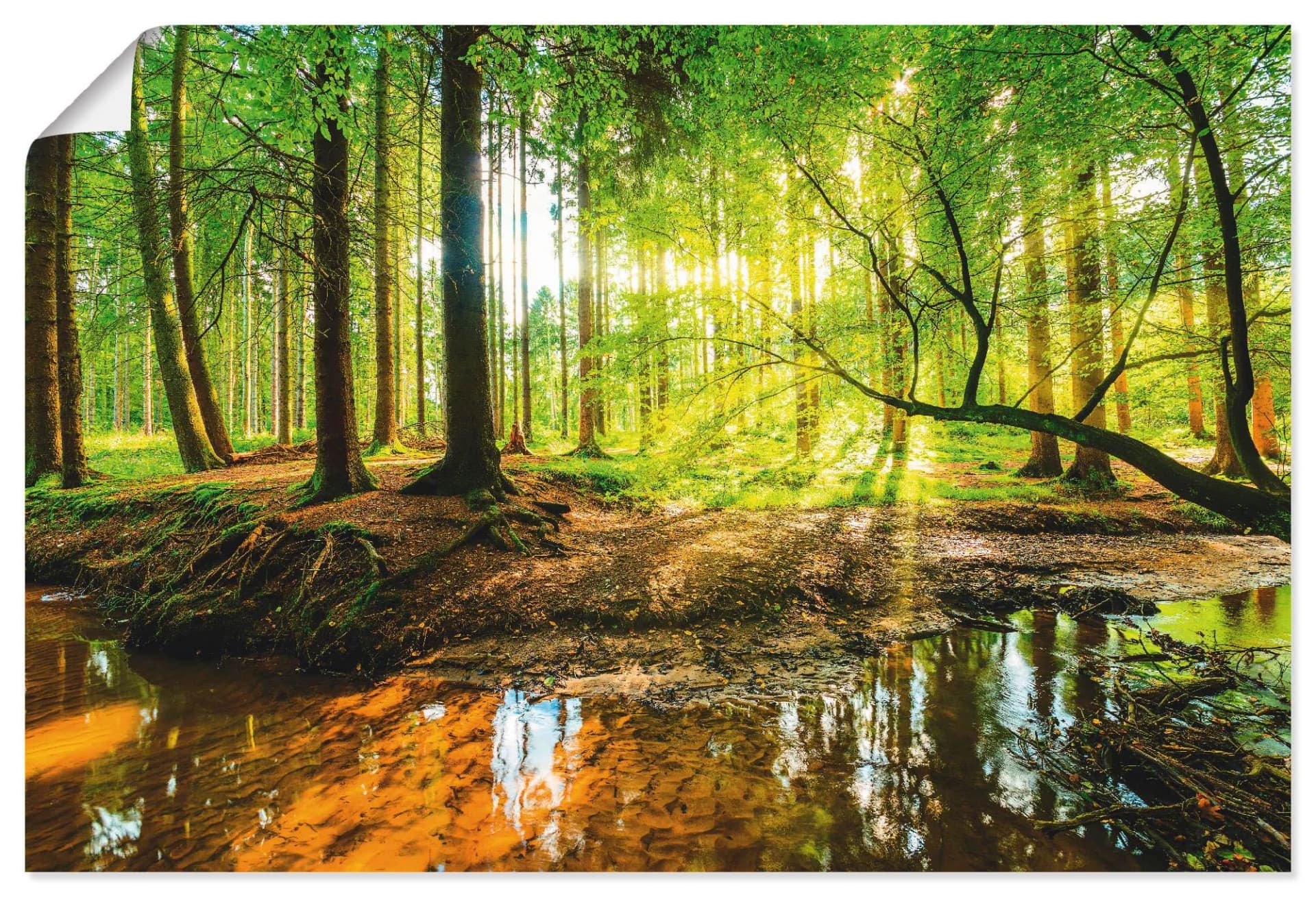 ARTLAND Wandbild Wald mit Bach Grün 30x20 cm