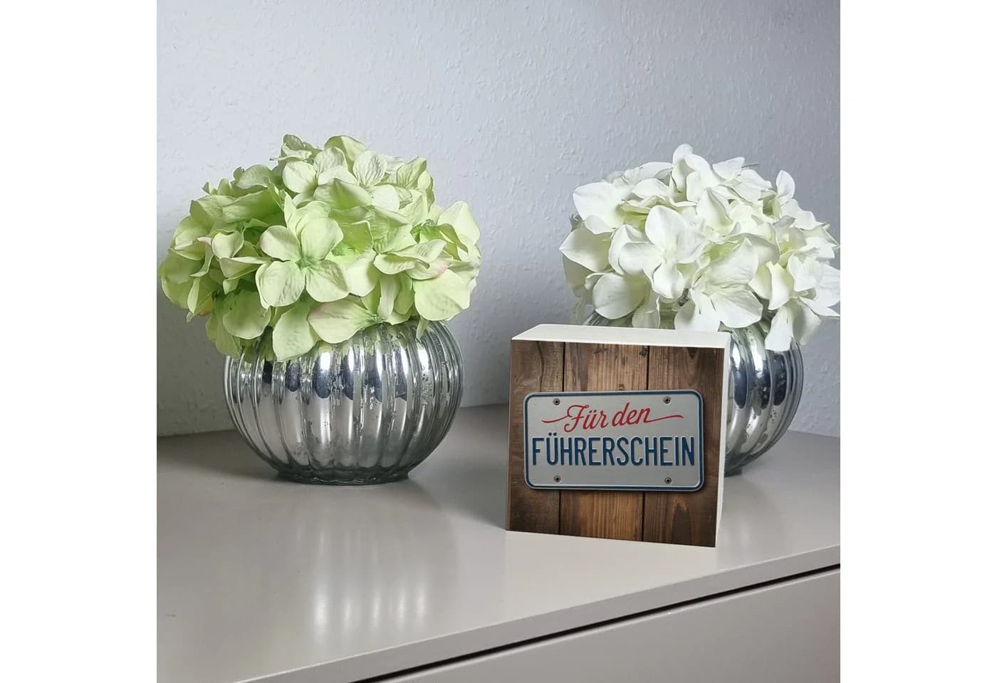 speecheese Spardose Für den Führerschein Holz Nummernschild