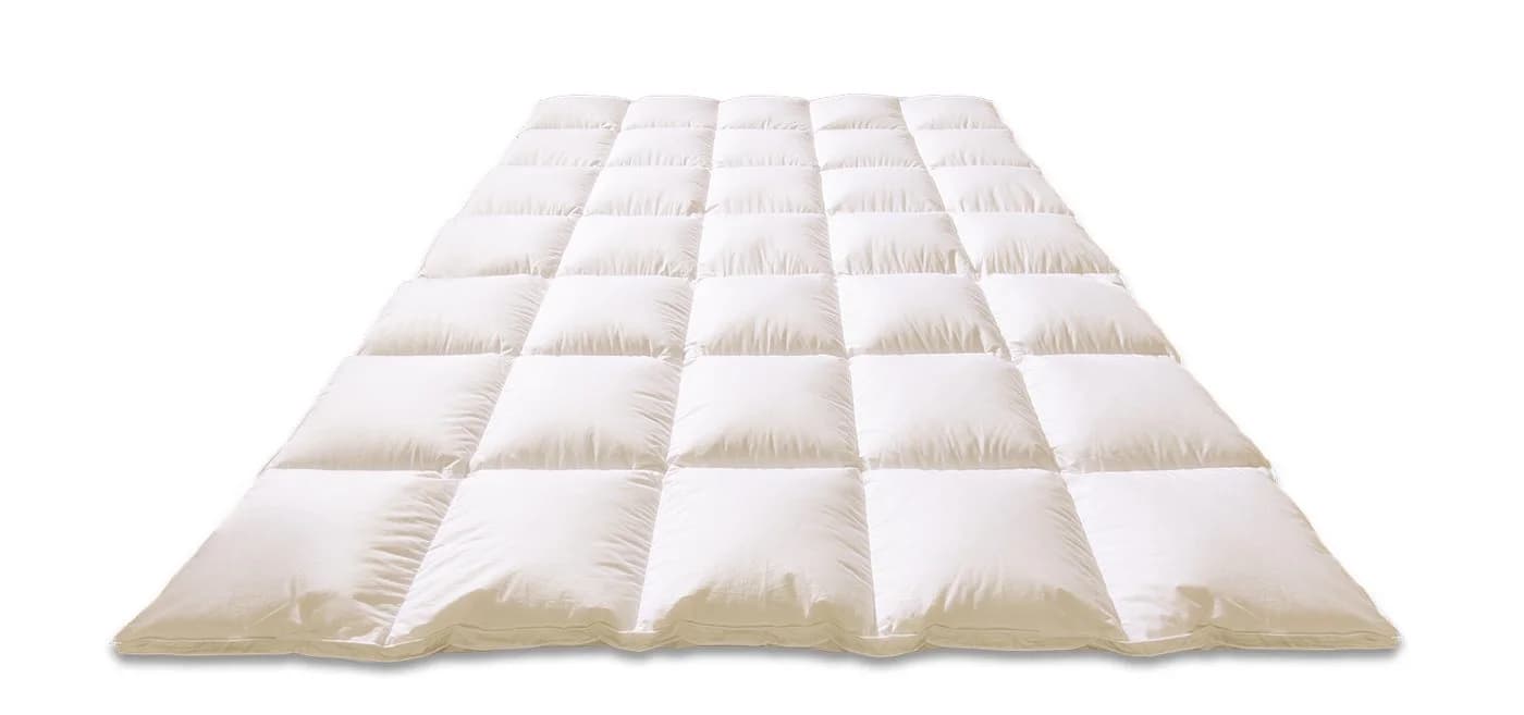 Kauffmann Daunenbettdecke Superior Warm 100% Daunen Baumwolle