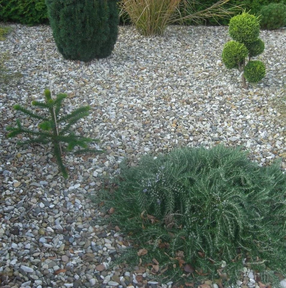 HaGa Unkrautvlies Gartenvlies UV-stabilisiert 50g/m²