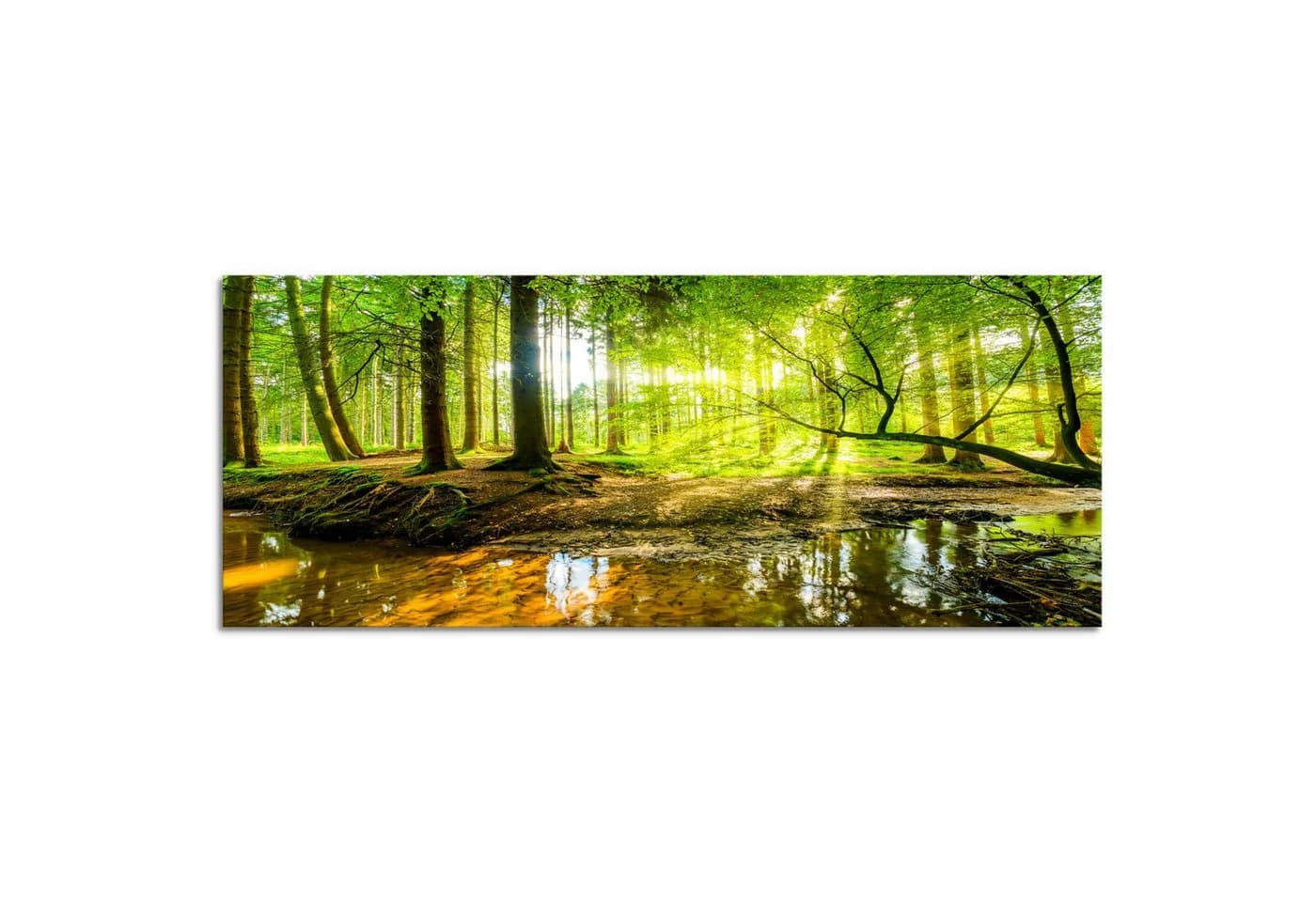 Runa Art Wandbild Wald Landschaft Deko Grün Natur Bilder 100x40 cm