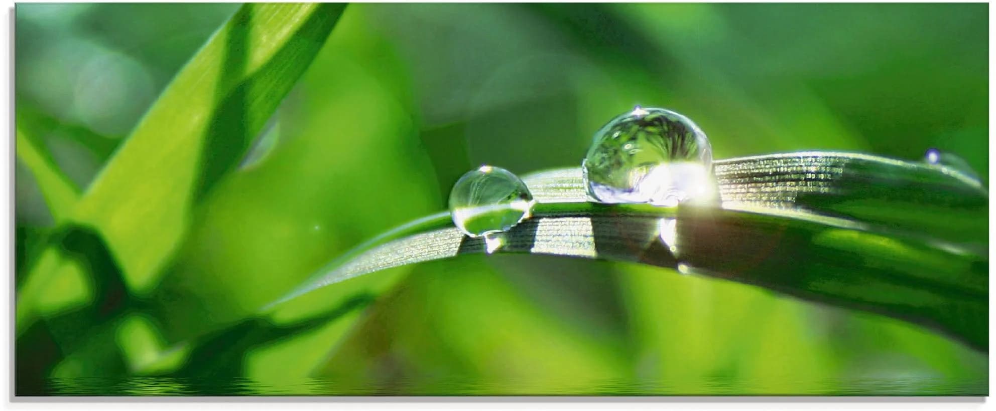 Artland Glasbild "Grüner Hintergrund mit Gras" 125x50 cm