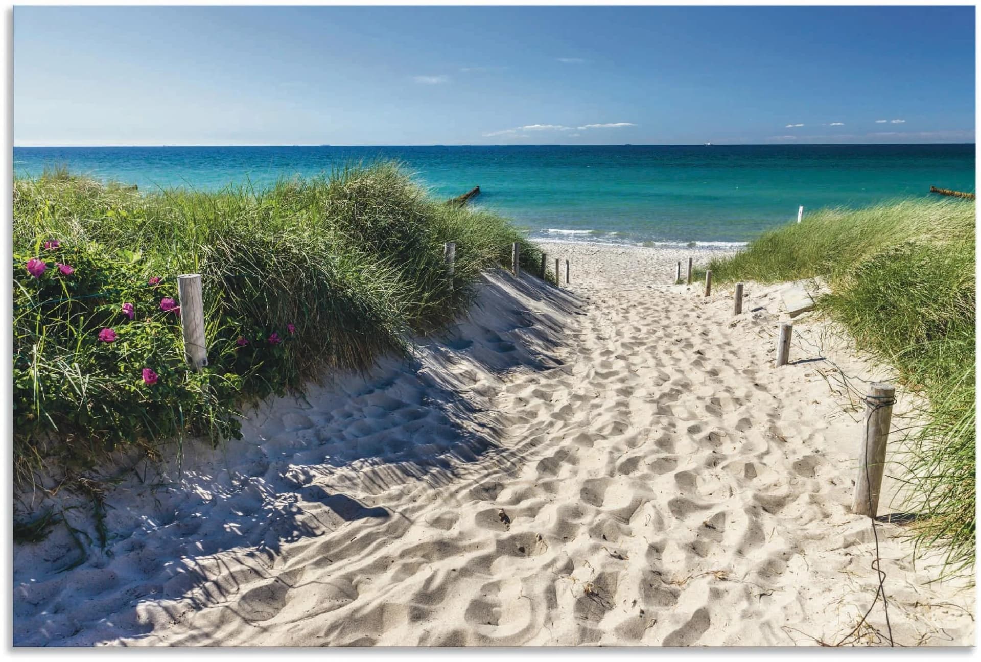Wandbild ARTLAND 'Weg zum Strand an der Ostsee', blau, B:120cm H:80cm