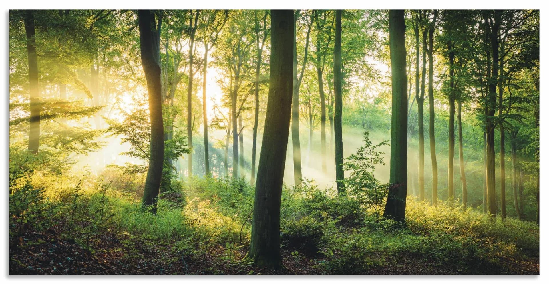 Wandbild ARTLAND 'Herbst im Wald II', grün