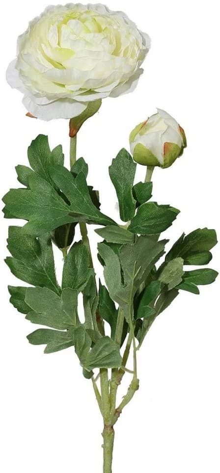 Creativ Green Kunstblume Ranunkel 6er Set Beige 40cm
