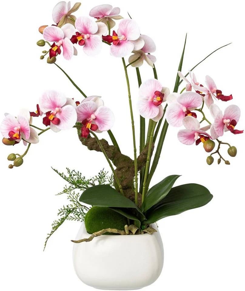 Kunstorchidee Phalaenopsis mit Ast und Farnzweig in Keramiktopf