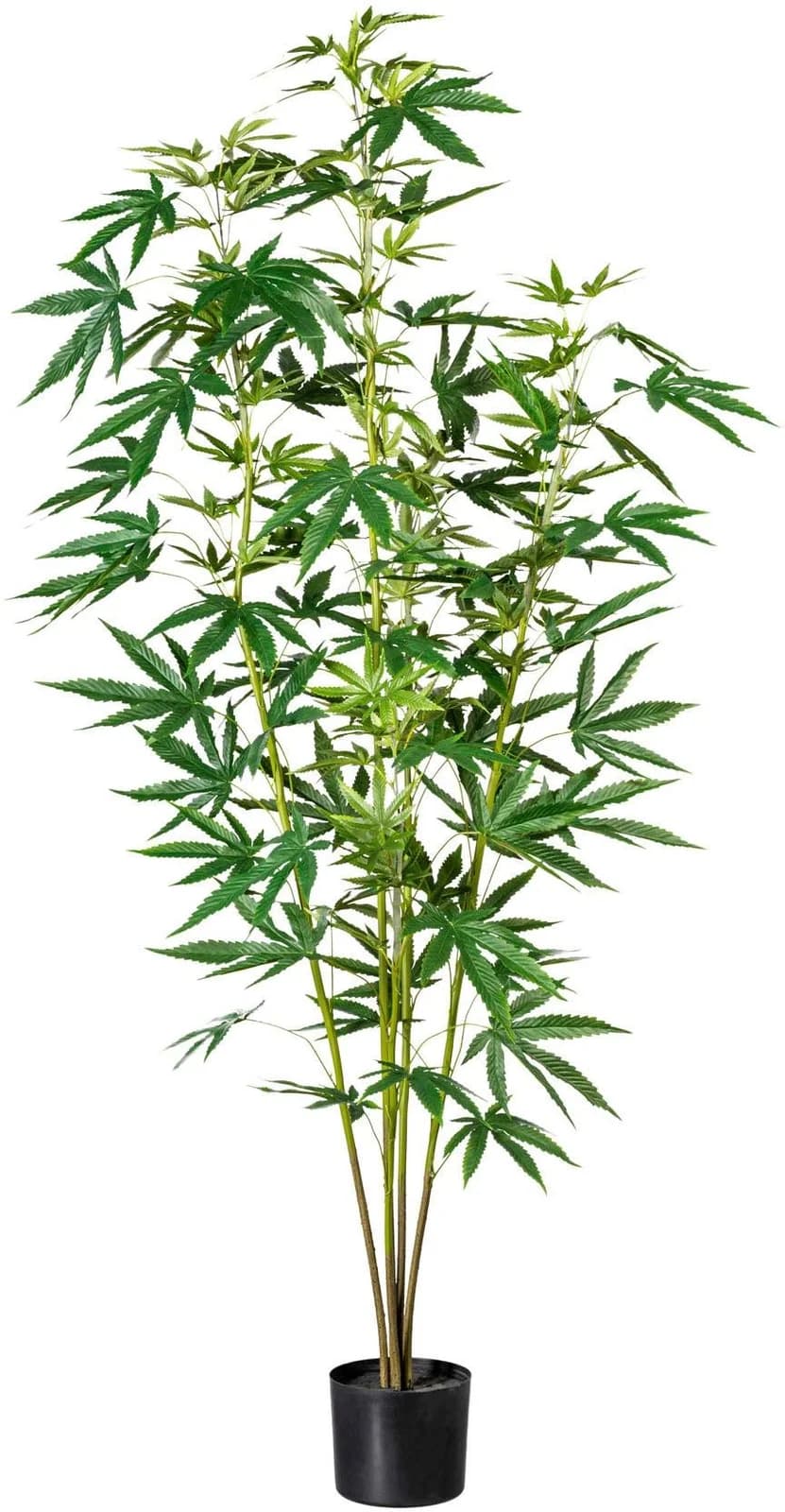 Creativ Green Künstliche Zierhanfpflanze Grün 150cm mit Topf