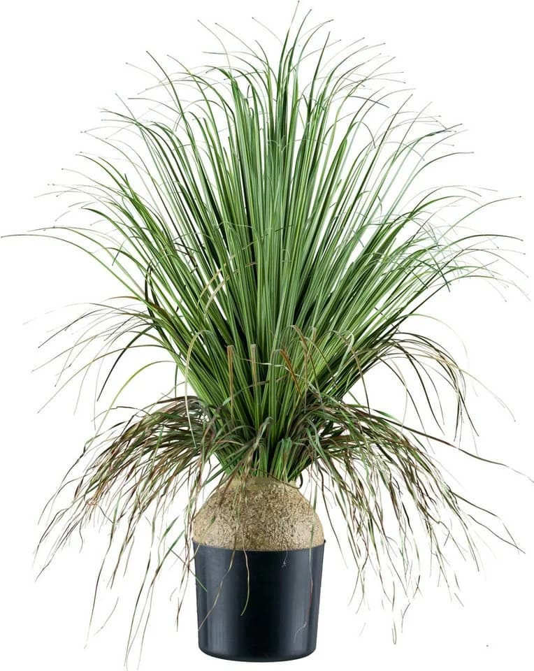 Kunstpflanze Elefantenfuß Beaucarnea Creativ green 68 cm