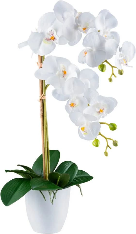 CREATIV GREEN Kunstorchidee Phalaenopsis Weiß Real-Touch