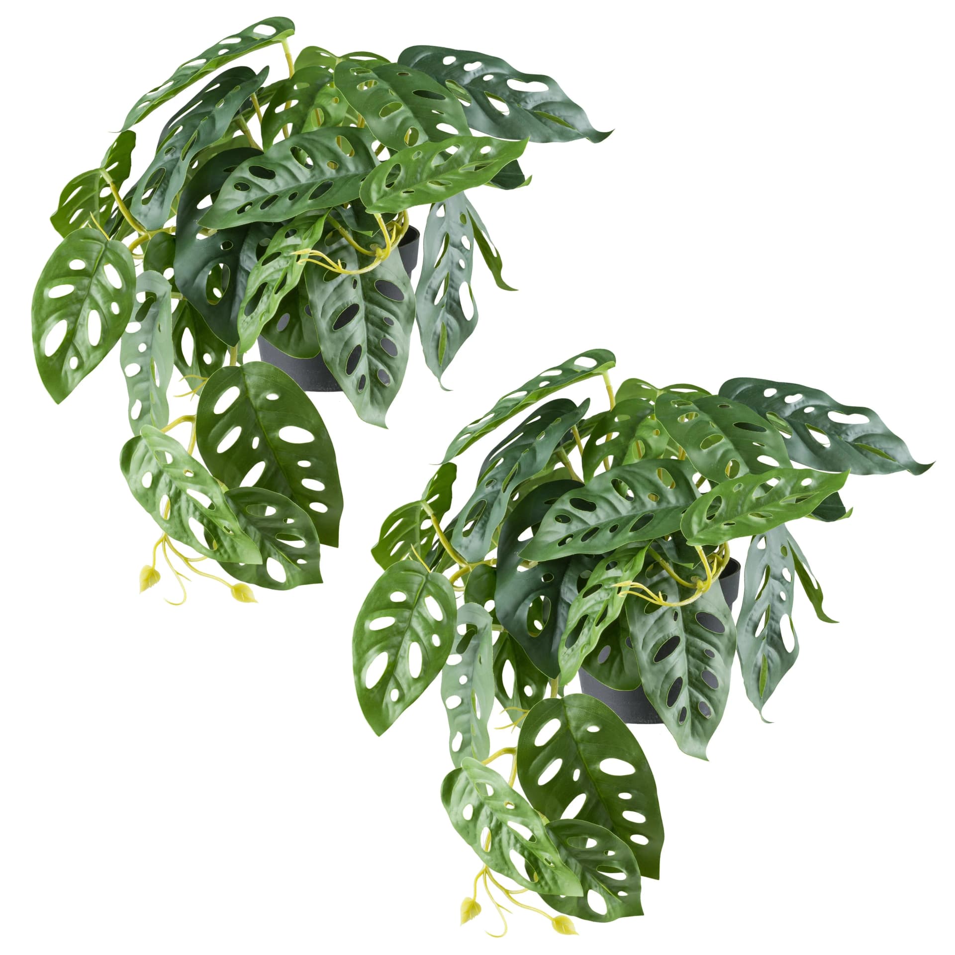 CREATIV GREEN Kunstpflanze Monstera 2er Set Grün Schwarz