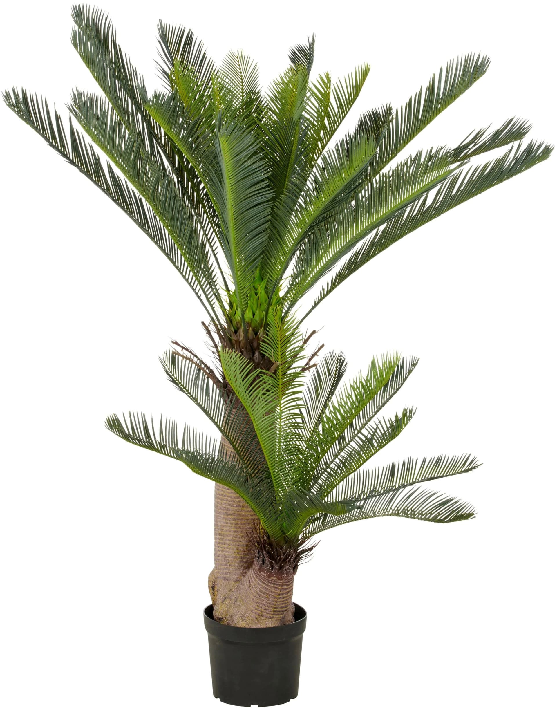 Creativ Green Cycaspalme Kunstpalme Grün 145cm