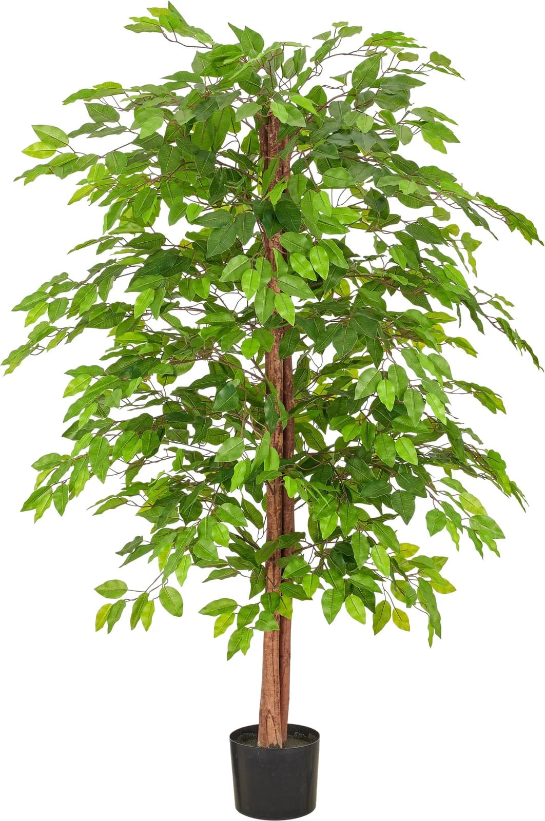 Creativ Green Kunstbaum Ficus benjamina Grün 160 cm