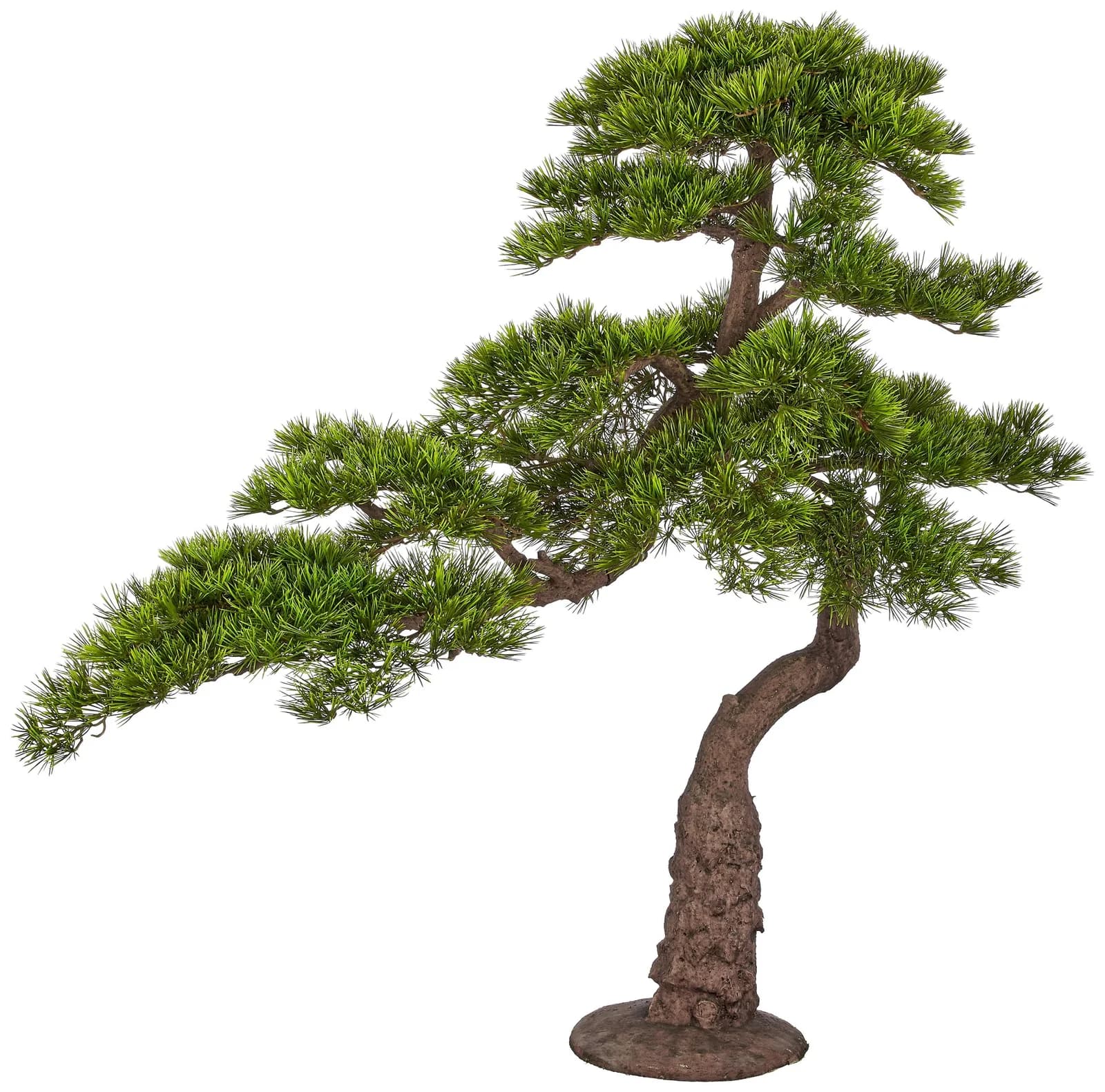 Creativ Green Kunstbonsai Pinus sylvestris Grün