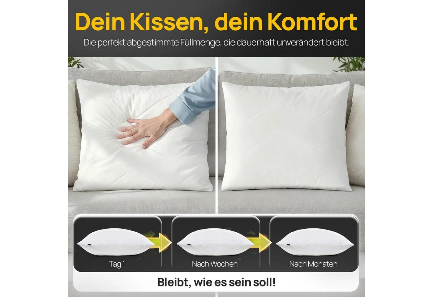 LILENO HOME Kopfkissen 50x50 cm Polyesterfüllung Allergikergeeignet