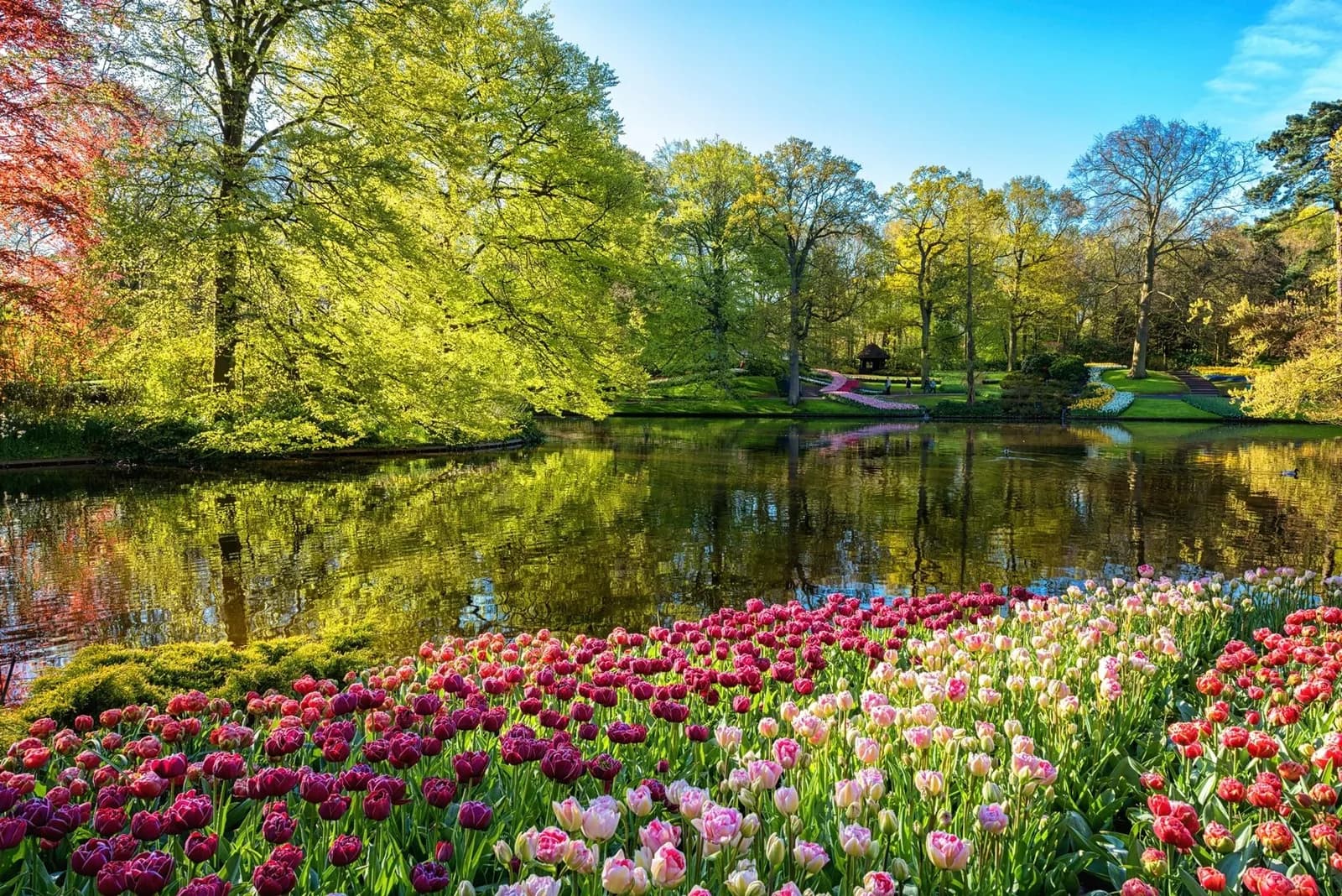 PAPERMOON Fototapete Garten Blumen Bäume Vlies Bunt