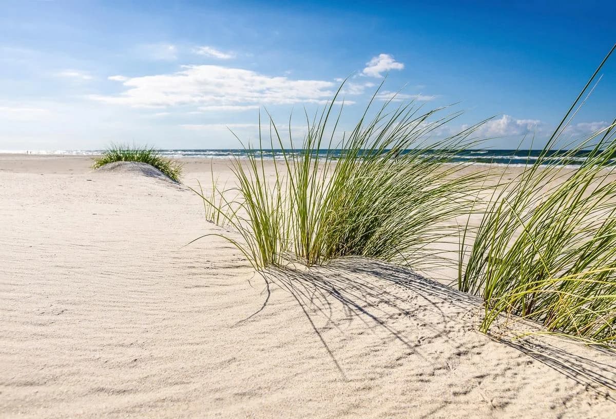 PAPERMOON DÜNEN-NATUR NORD SEE SAND STRAND MEER WÜSTE LANDSCHAFT Fototapete