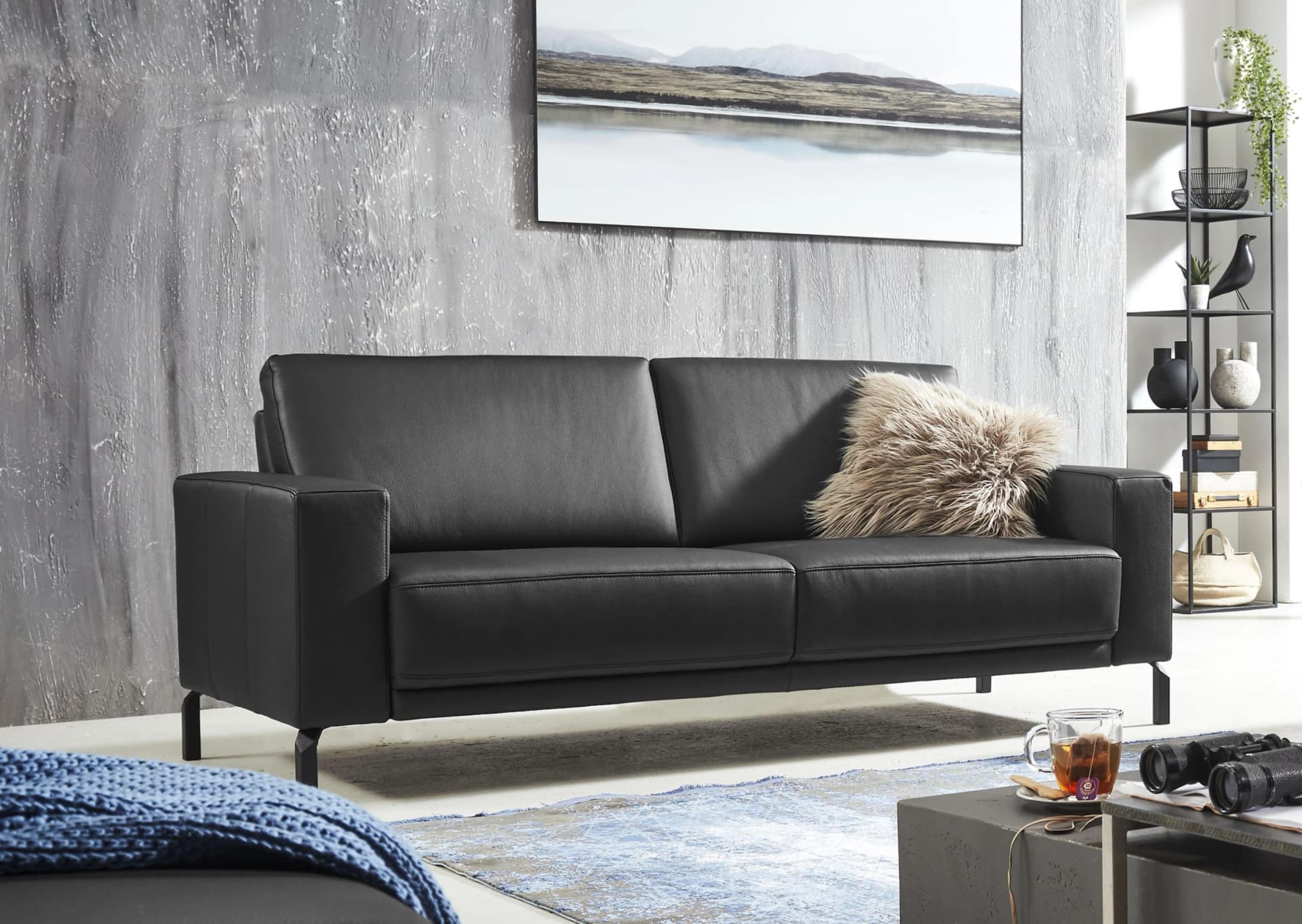 Home Affaire Apiro 2-Sitzer Sofa Schwarz Dickleder Motorisch