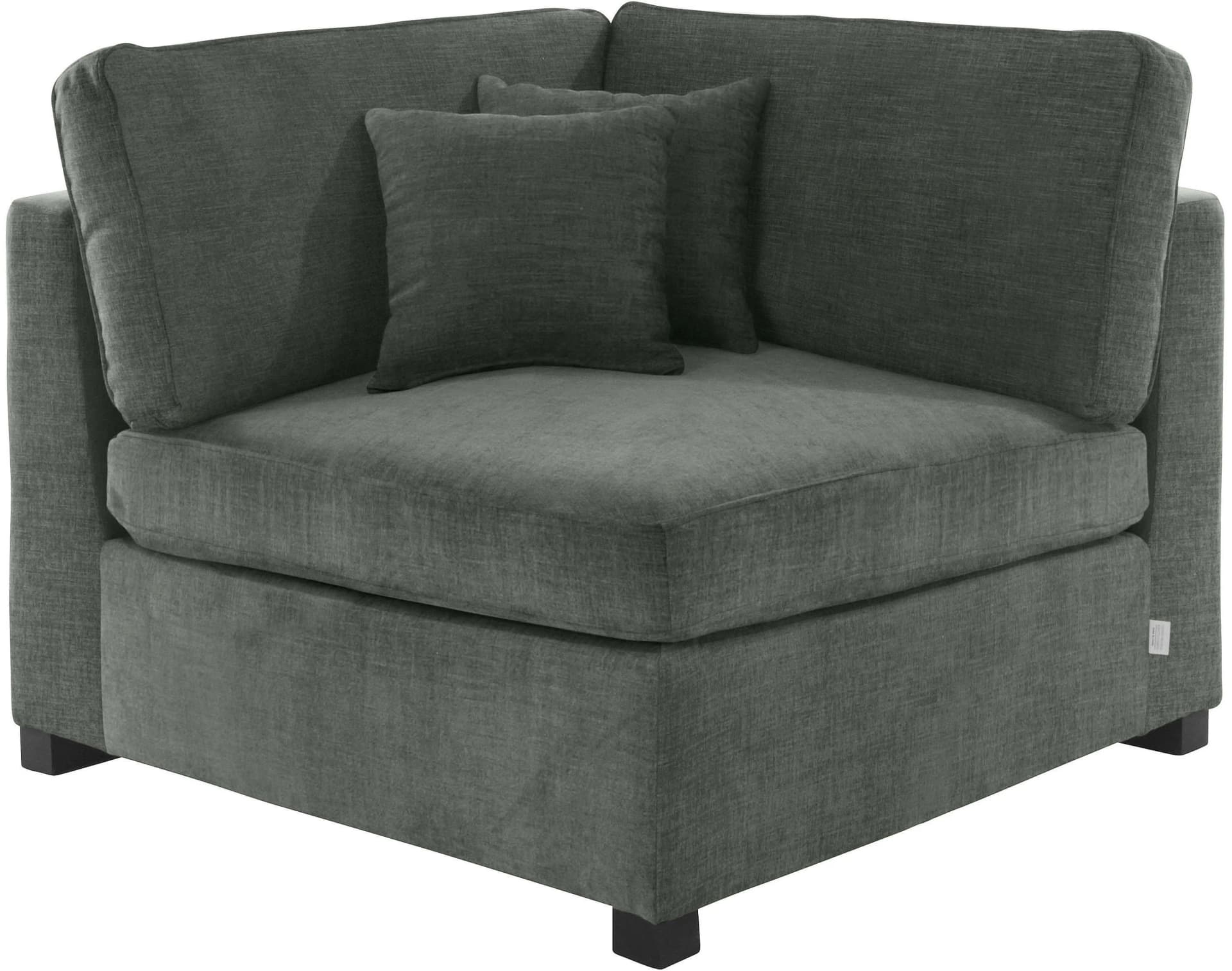 Home Affaire Skara Sofaelement Grau Samtvelours Modul