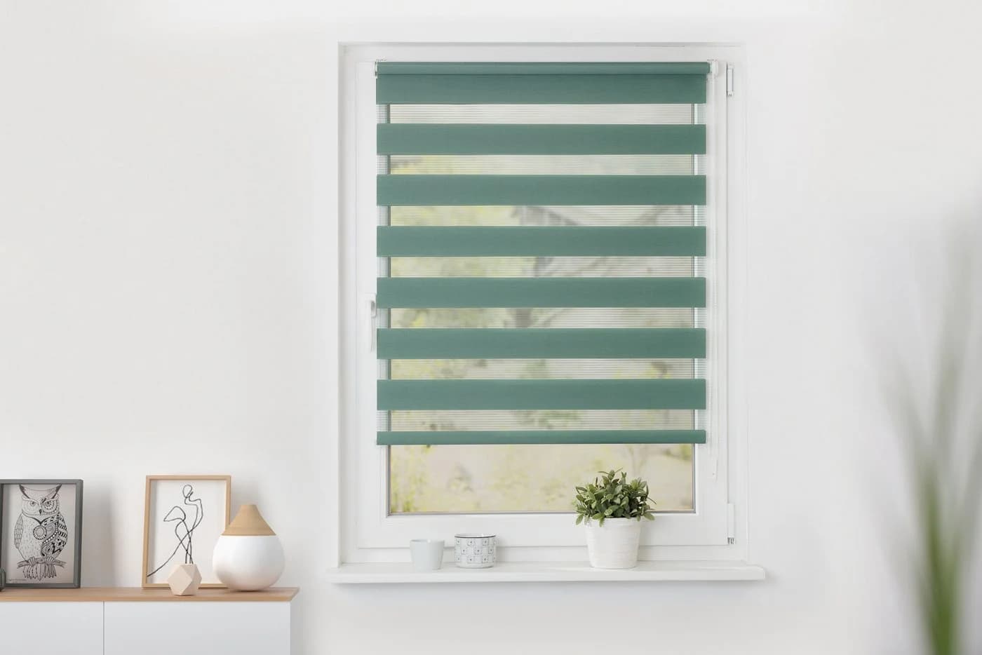 Doppelrollo Modern in Grün, Salbei, Weiß - 50x150 cm
