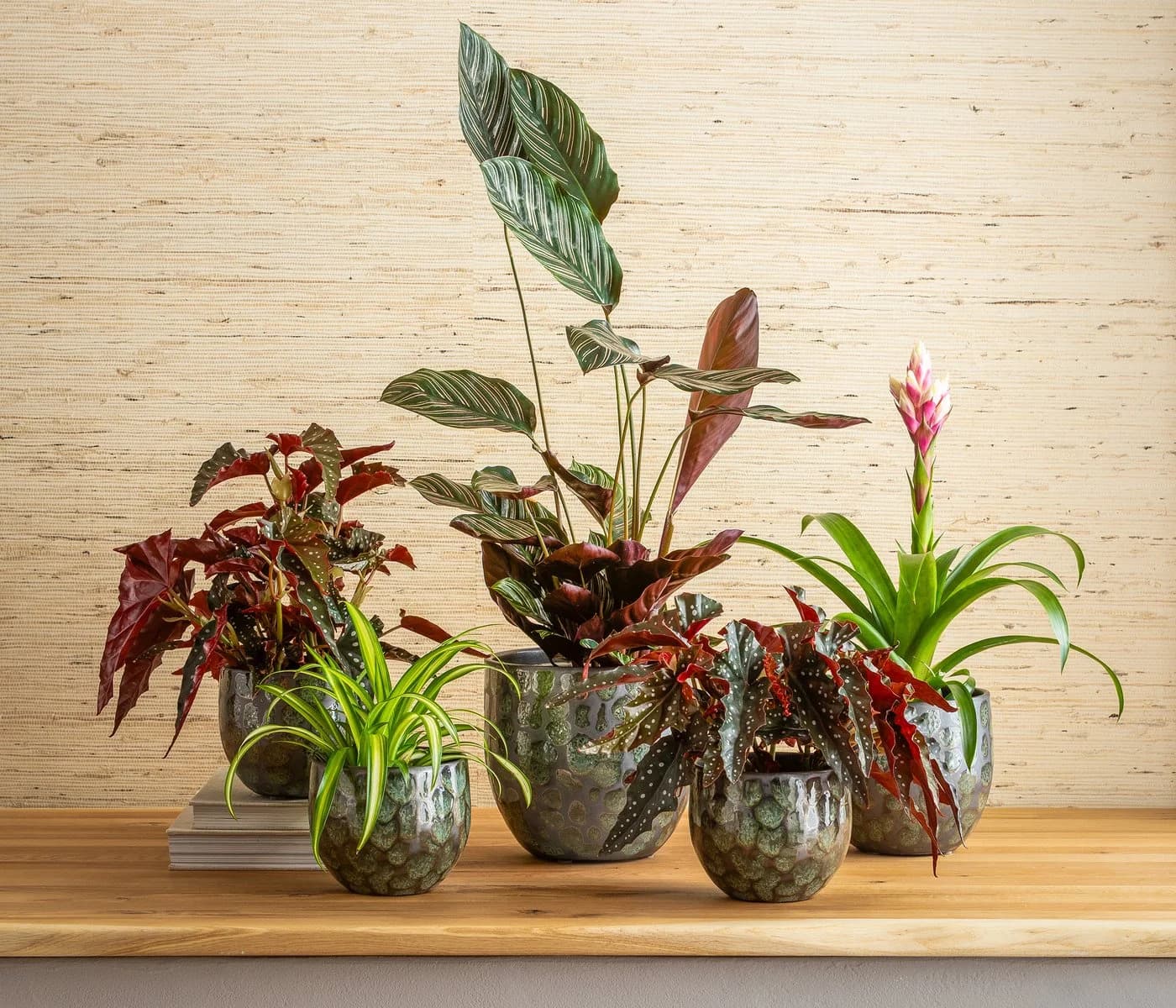 Dehner Übertopf Neyla Keramik Indoor Blumentopf