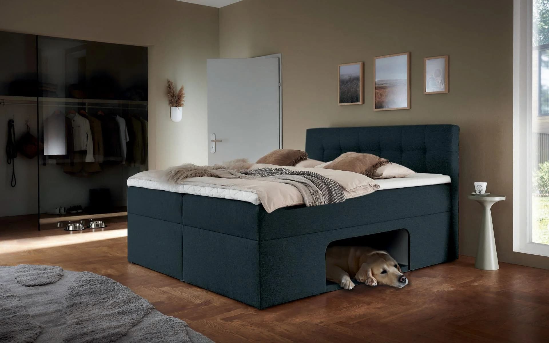 Boxbett HOME AFFAIRE Carolin Dunkelgrau mit Haustier-Nische und Bettkästen