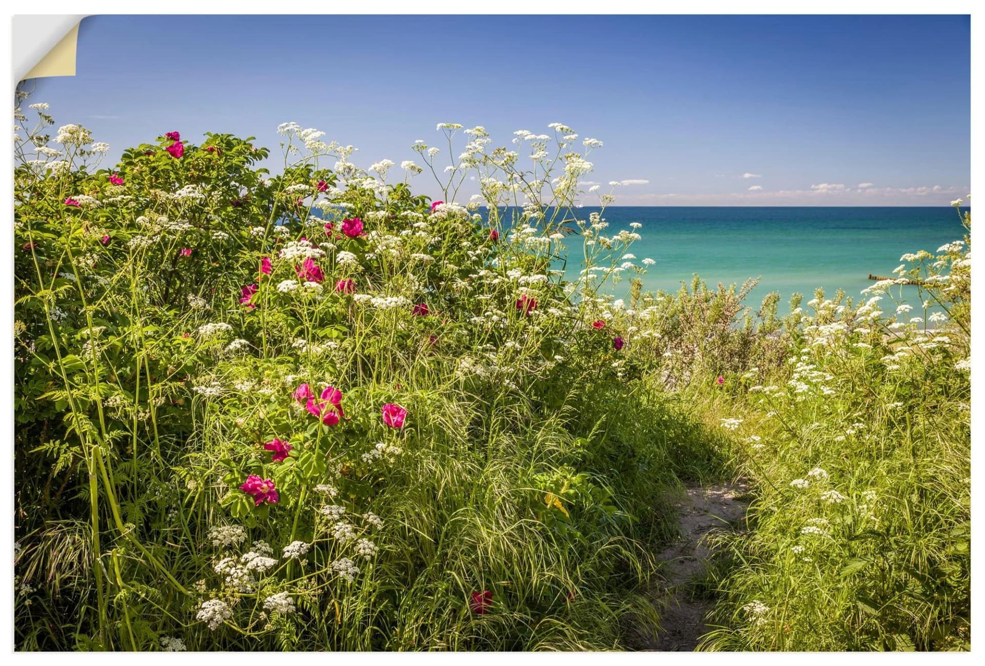 ARTLAND Wandaufkleber „Frühling an der Küste in Ahrenshoop“ Grün