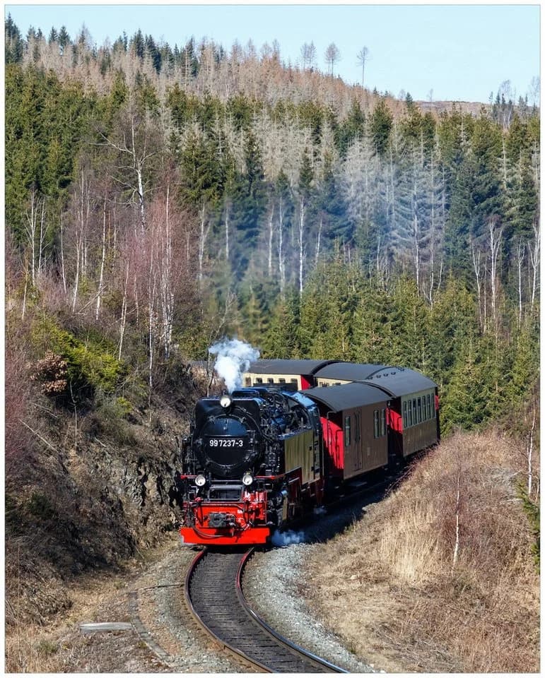 Wallario Poster Dampflok im Waldtal Vintage Motiv