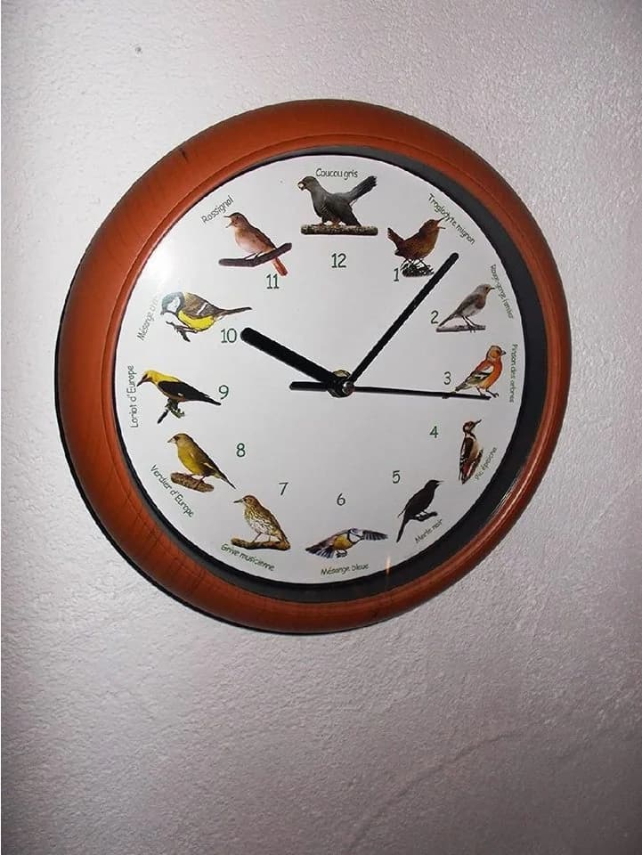 Luna24 simply great ideas... Vogelstimmen-Wanduhr mit französischer Bezeichnung brauner Rahmen