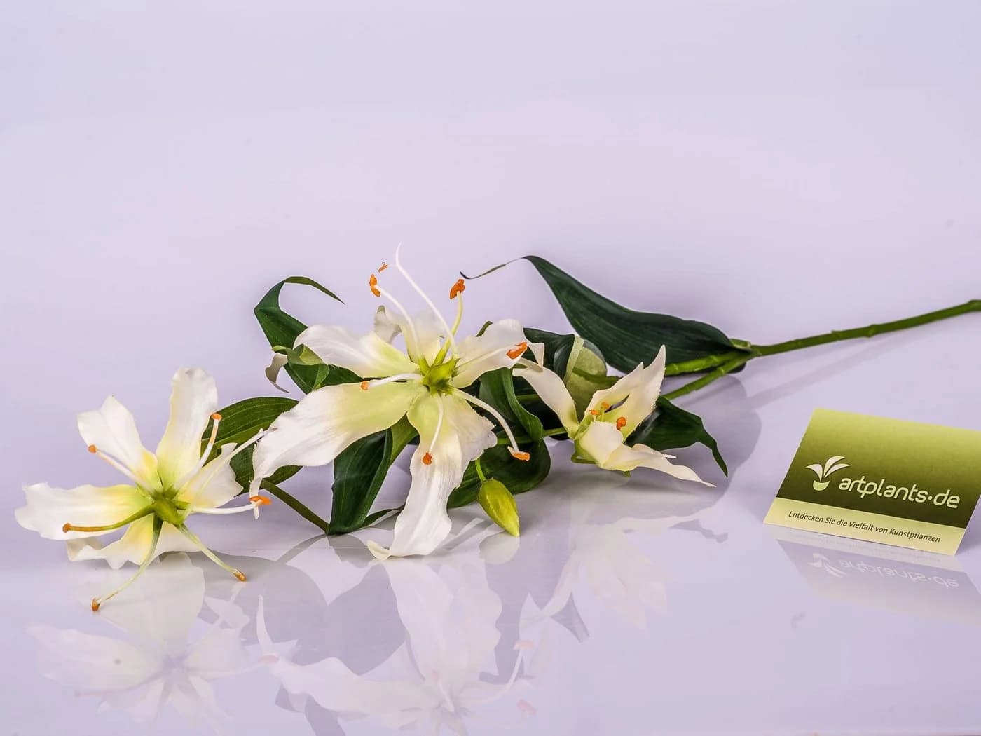 artplants Kunstzweig Ruhmeskrone Creme Grün 80cm