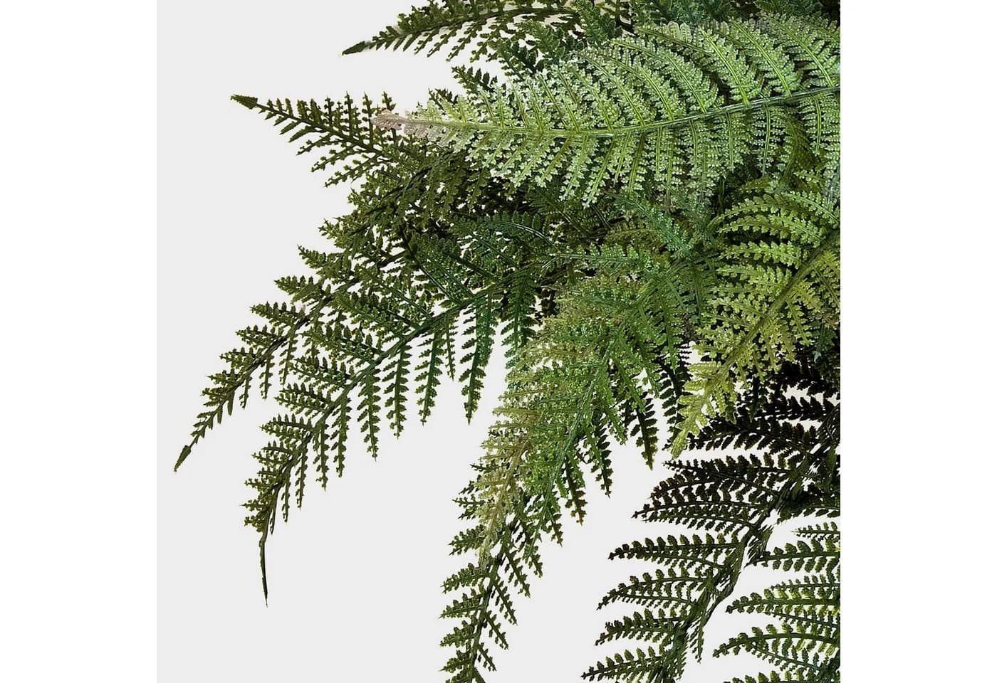 artplants Künstliche Zimmerpflanze Königsfarn Aaron Grün