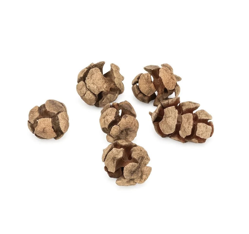 NaDeco Zypressenzapfen Natur 2-3 cm – ca. 80-100 Stück (0,5 kg)