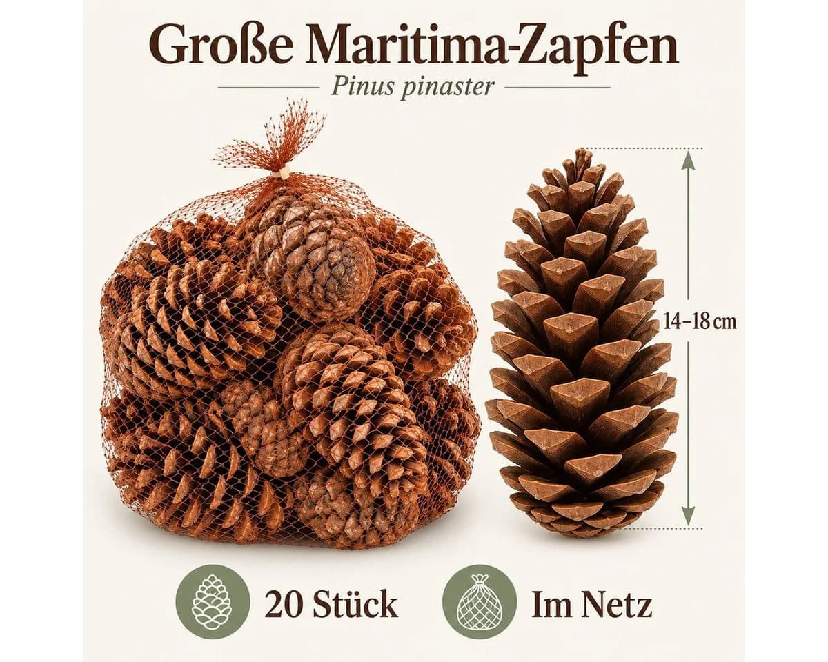 NaDeco Maritima Zapfen 14-18 cm, 20 Stück, Natur Braun