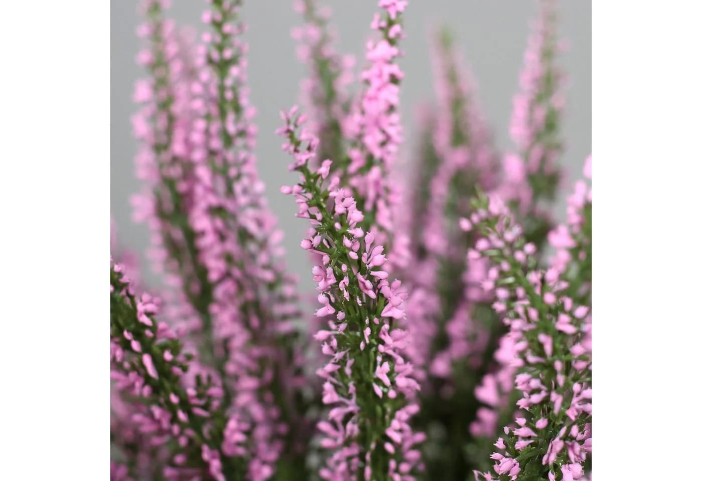 Kunstblume Erikabusch Rosa Seidenblumen Roß