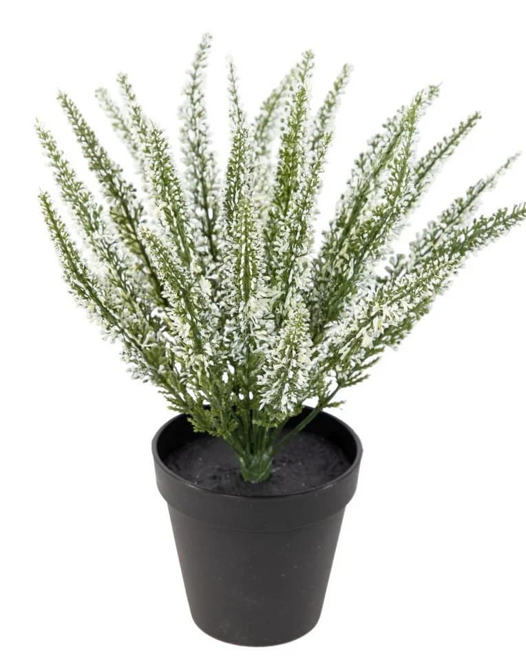 Seidenblumen Roß Kunstblume Erika Weiß im Topf