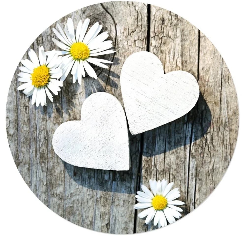 matches21 HOME & HOBBY Platzset Abwaschbare Tischsets 4er Set Gänseblümchen Blumen rund