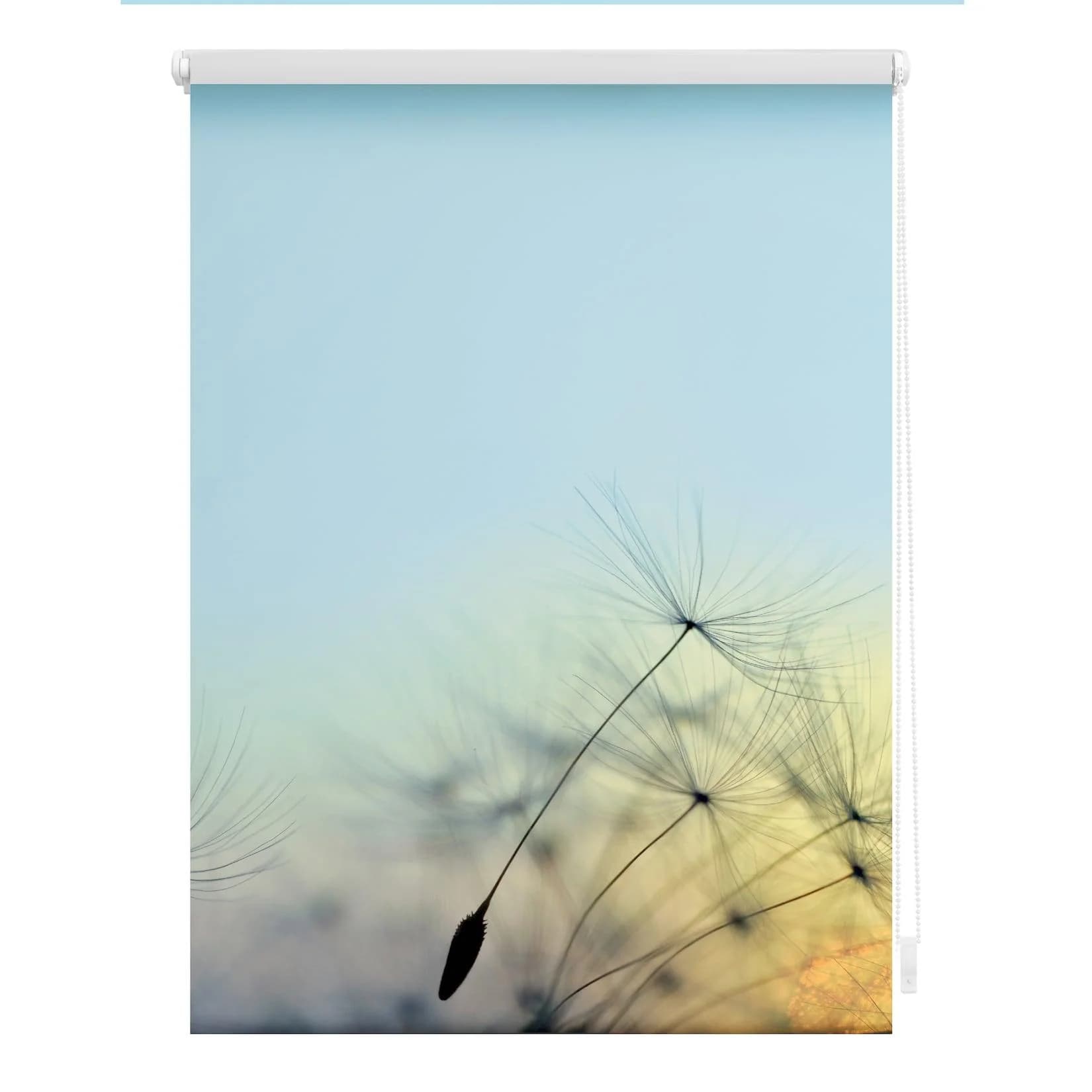 LICHTBLICK Seitenzugrollo Klemmfix Blau Weiß Verdunkelung Pusteblume