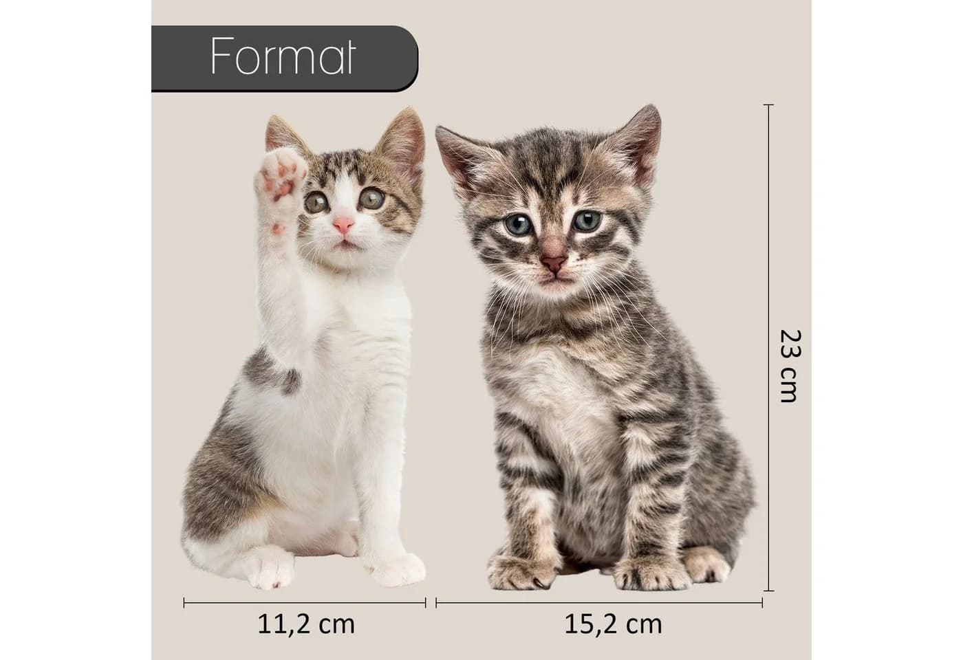 younikat Katzen-Aufkleber Braun/Grau Selbstklebende Folie