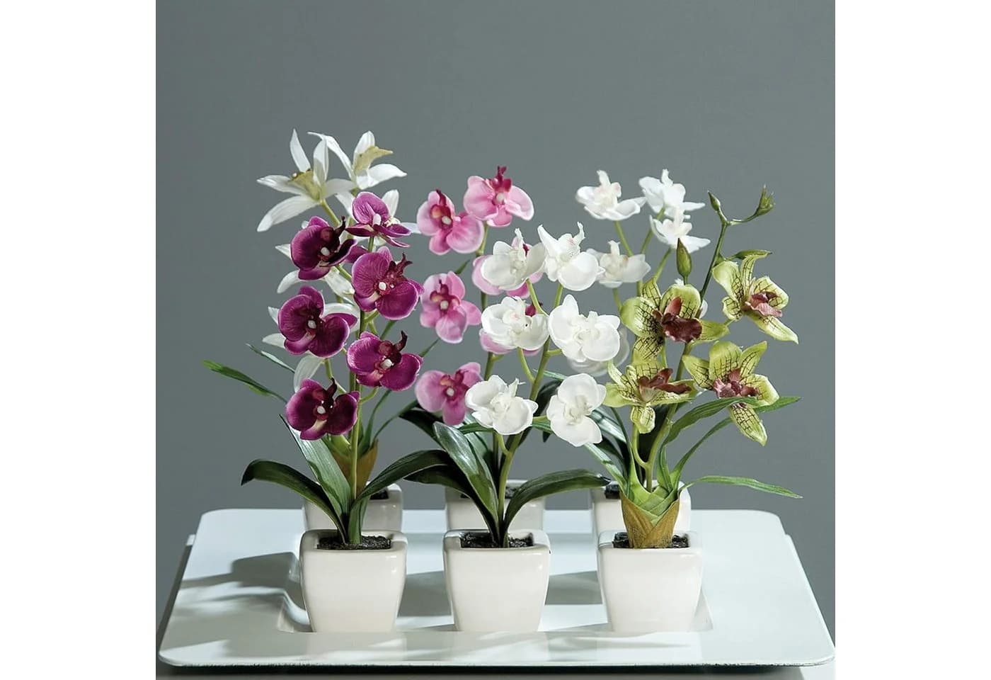 mucPlants Kunstblume Orchideenset 6-teilig Weißer Topf