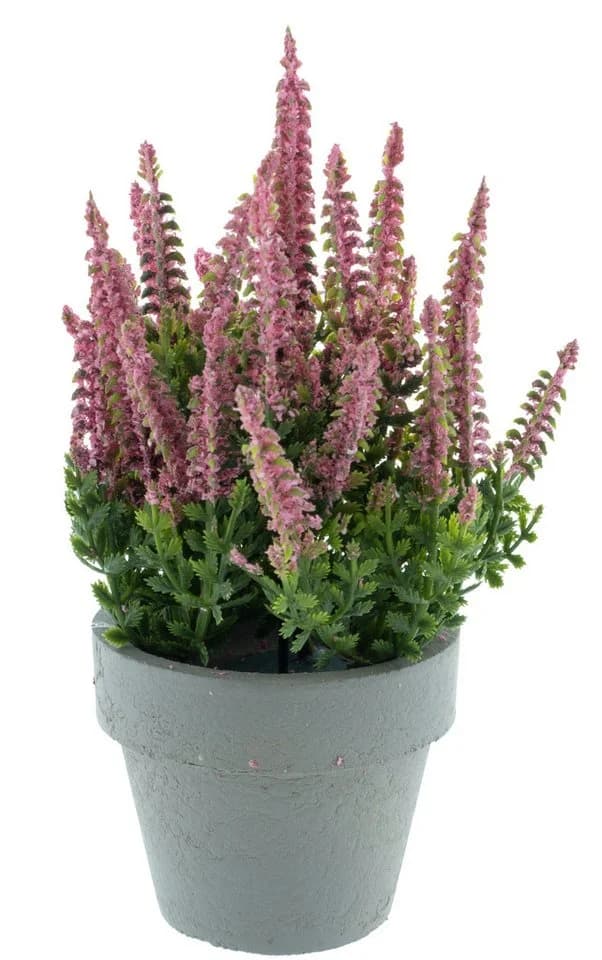 mucPlants Kunstpflanze Erika Rosa Grau Topf 19cm